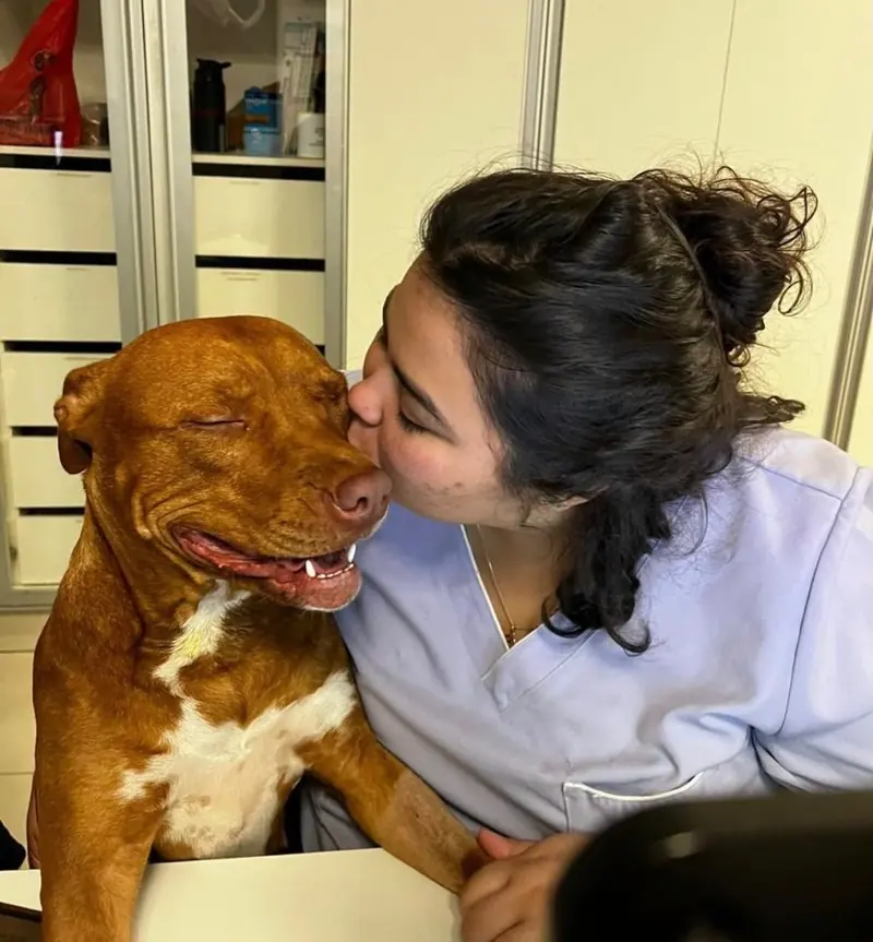 Dra. Gabriela Cirino, veterinária domiciliar em São Paulo, recebendo carinho de um cão durante atendimento em casa